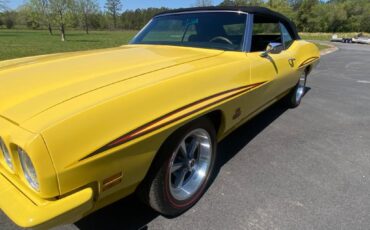 Pontiac-GTO-JUDGE-Covertible-clone-1972-6