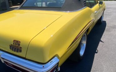 Pontiac-GTO-JUDGE-Covertible-clone-1972-8