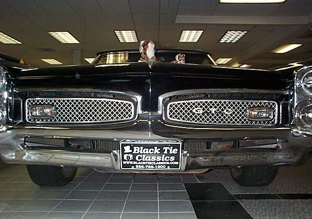 Pontiac-GTO-Royal-Bobcat-1967-Convertible-Hurst-Edition-1