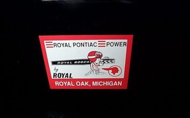 Pontiac-GTO-Royal-Bobcat-1967-Convertible-Hurst-Edition-17