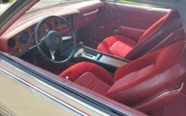 Pontiac-Grand-am-1973-4