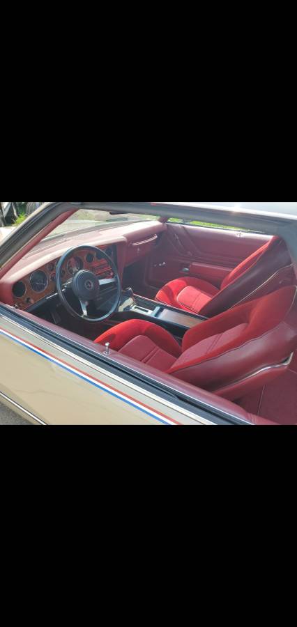 Pontiac-Grand-am-1973-4