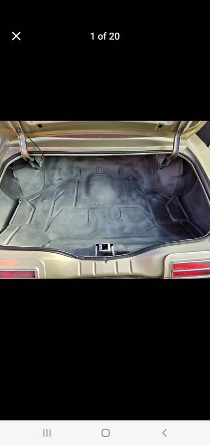 Pontiac-Grand-am-1973-6