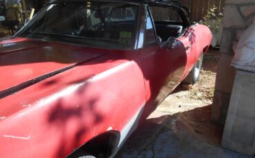 Pontiac-Other-1968-Convertible-9