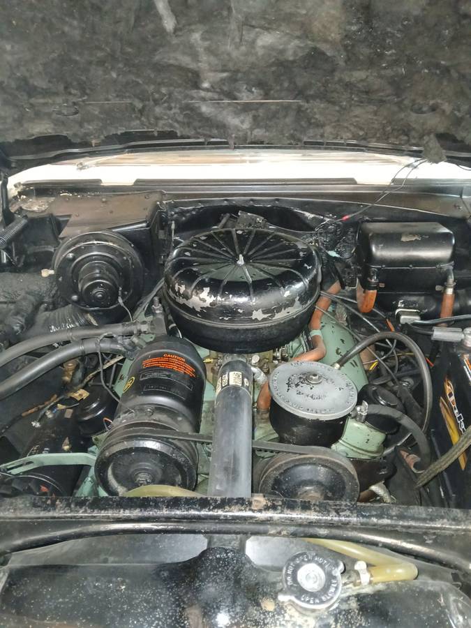 Pontiac-Star-chief-1956-6