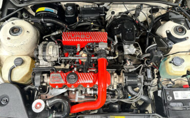 Pontiac-Sunbird-1989-Convertible-19