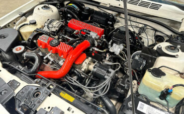 Pontiac-Sunbird-1989-Convertible-21