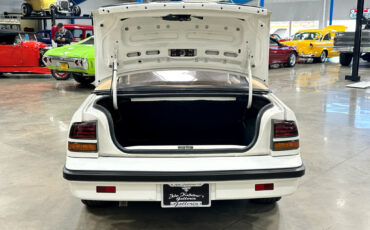 Pontiac-Sunbird-1989-Convertible-23