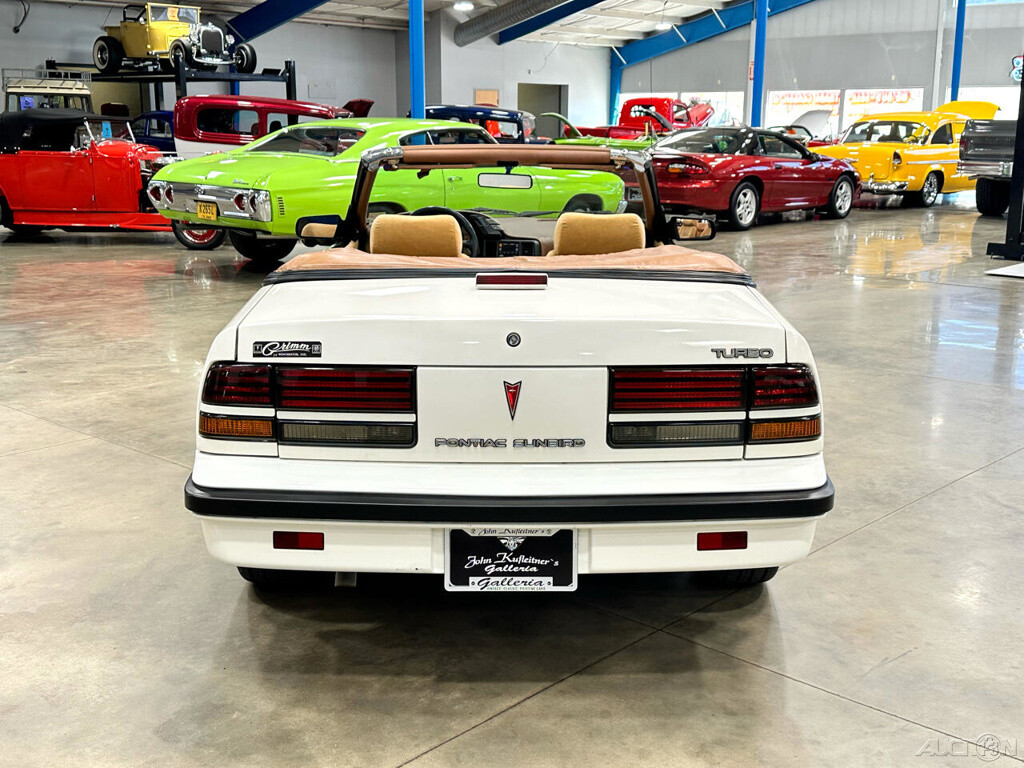 Pontiac-Sunbird-1989-Convertible-5