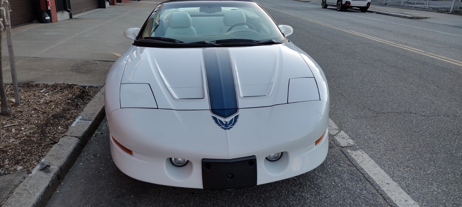 Pontiac-Trans-Am-1974-4