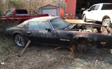 Pontiac-Trans-Am-1977-2