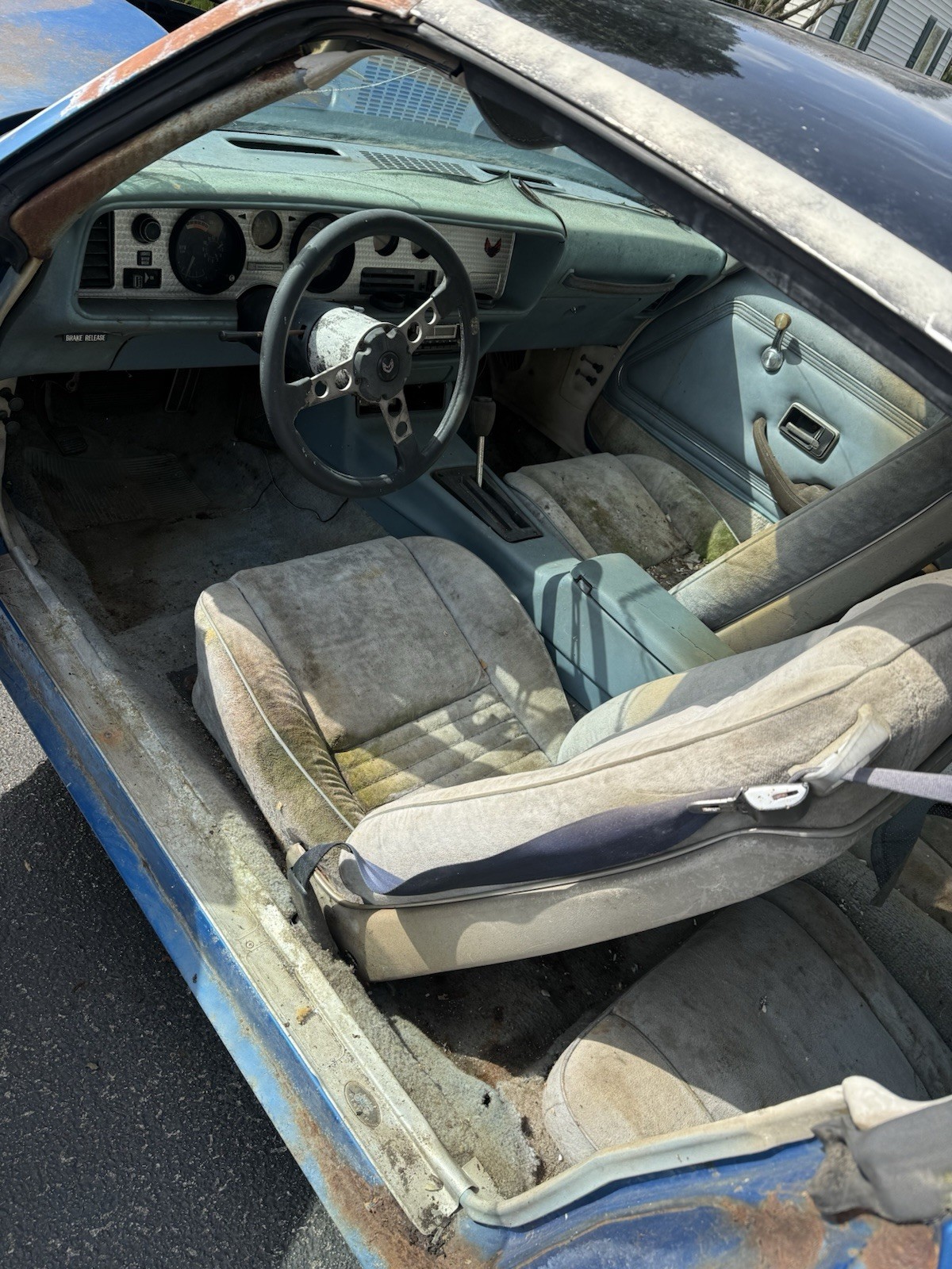 Pontiac-Trans-Am-1978-Coupe-11