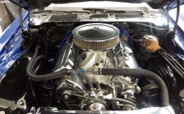 Pontiac-Trans-Am-1978-Coupe-6