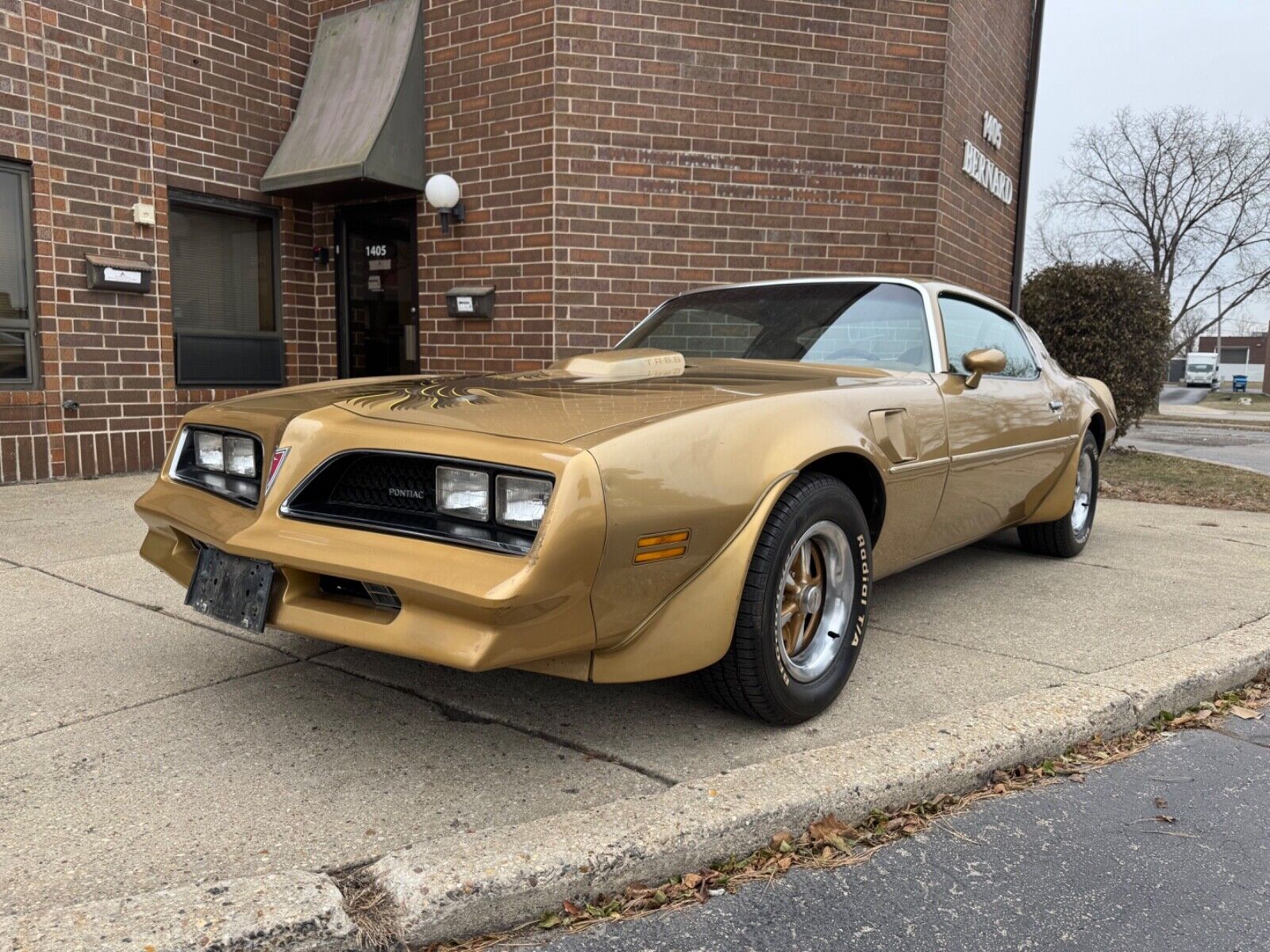 Pontiac-Trans-Am-1978