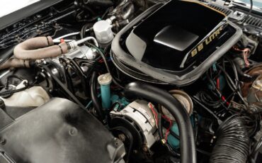 Pontiac-Trans-Am-1979-2D-Coupe-35
