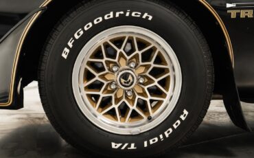 Pontiac-Trans-Am-1979-2D-Coupe-8