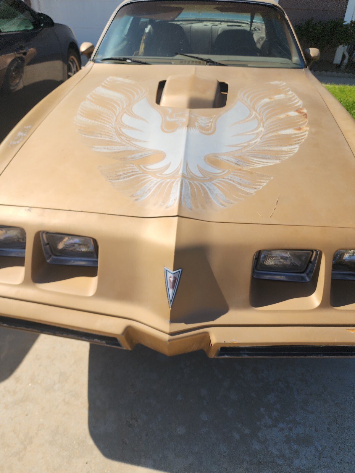 Pontiac Trans Am 1979