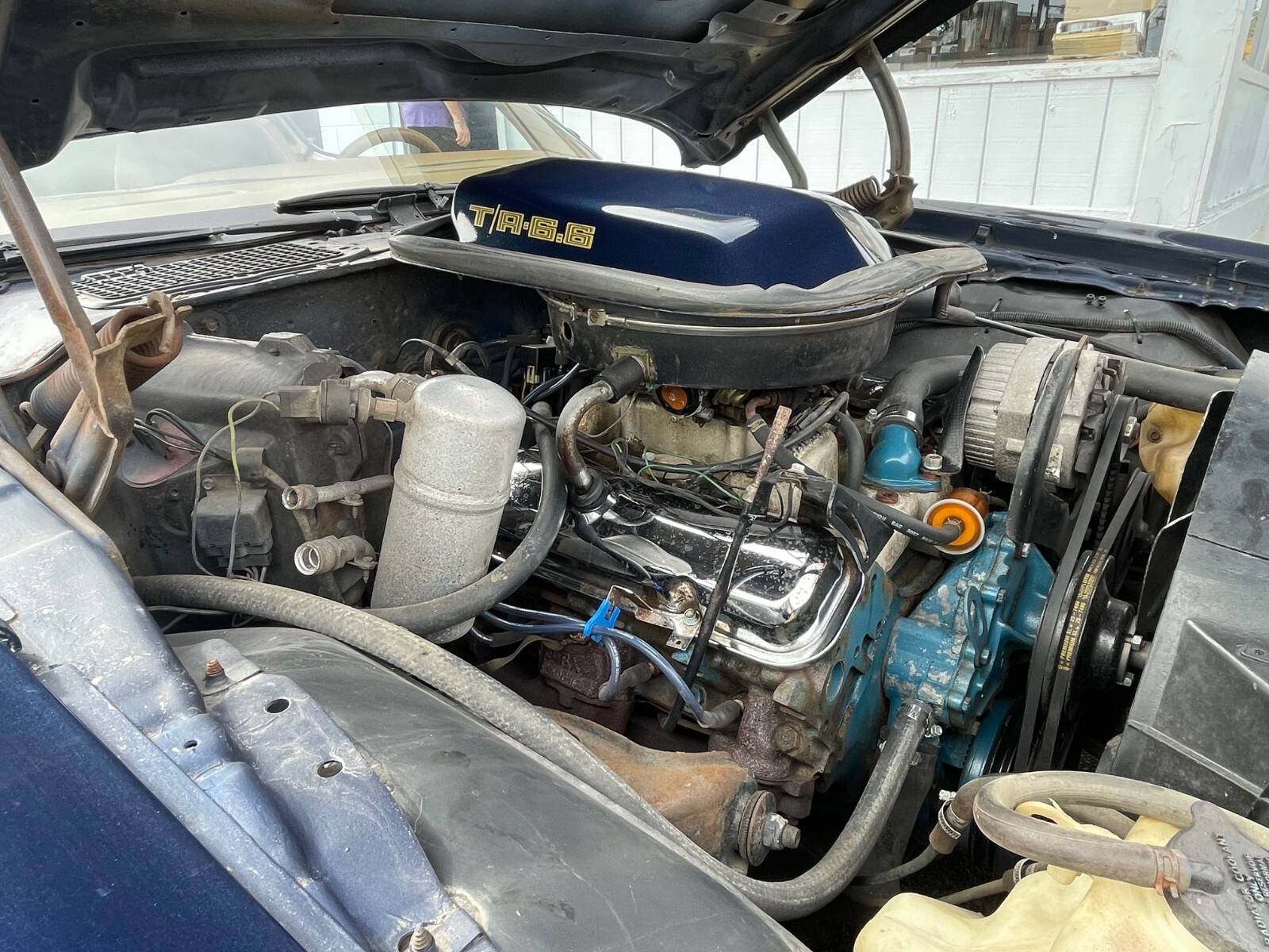 Pontiac-Trans-Am-1980-Coupe-11
