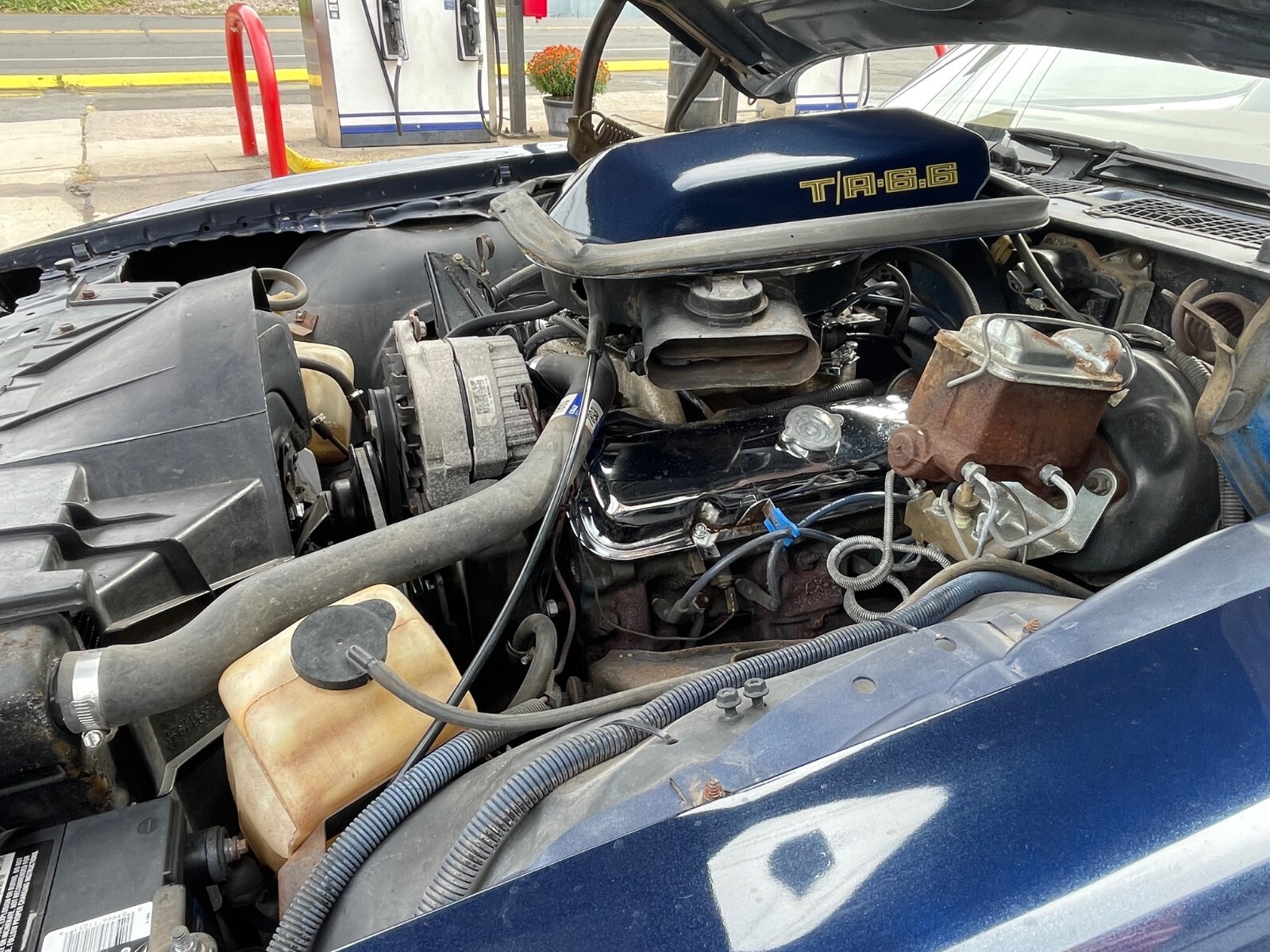 Pontiac-Trans-Am-1980-Coupe-12