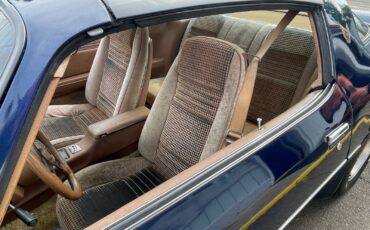 Pontiac-Trans-Am-1980-Coupe-6
