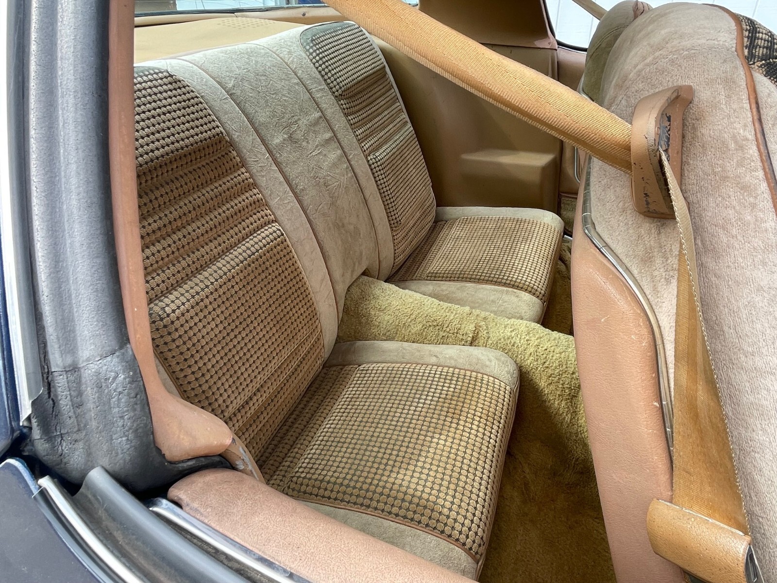Pontiac-Trans-Am-1980-Coupe-8