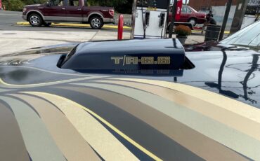 Pontiac-Trans-Am-1980-Coupe-9