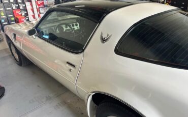 Pontiac-Trans-Am-1981-Coupe-1
