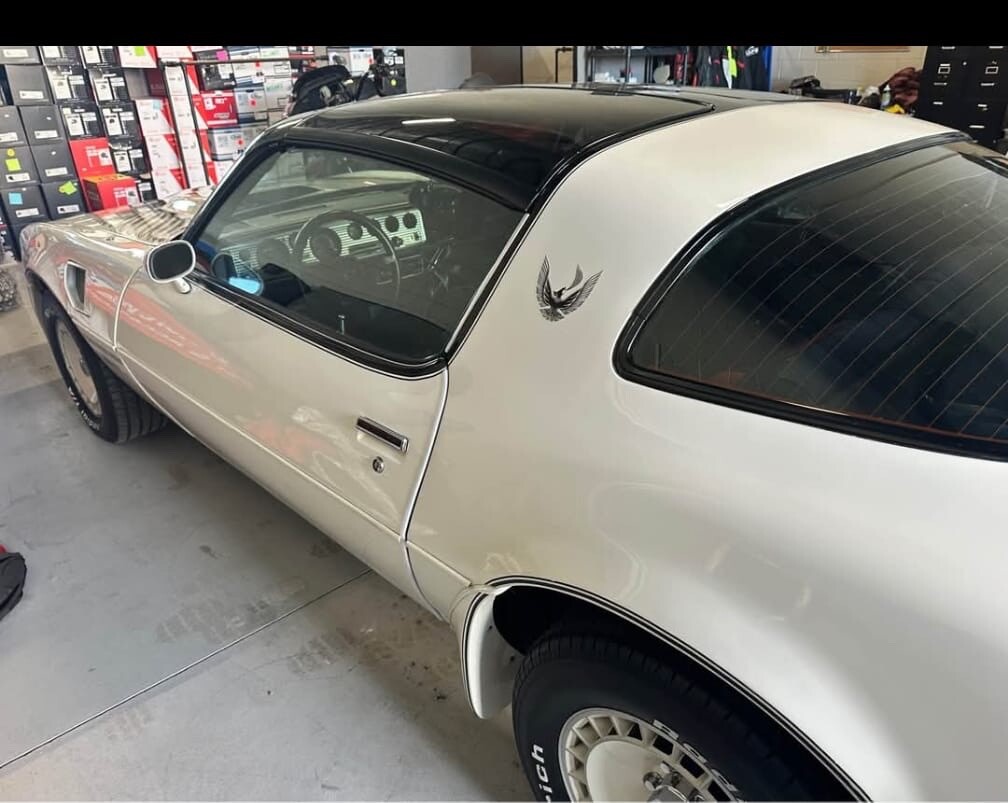 Pontiac-Trans-Am-1981-Coupe-1