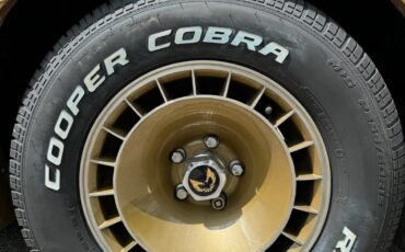 Pontiac-Trans-Am-1981-Coupe-1