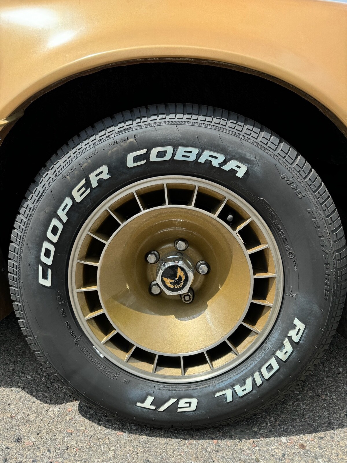 Pontiac-Trans-Am-1981-Coupe-1