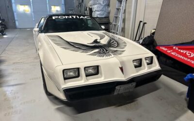 Pontiac Trans Am 1981 Coupe
