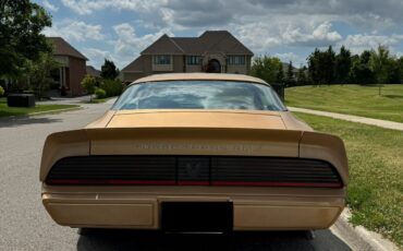 Pontiac-Trans-Am-1981-Coupe-2