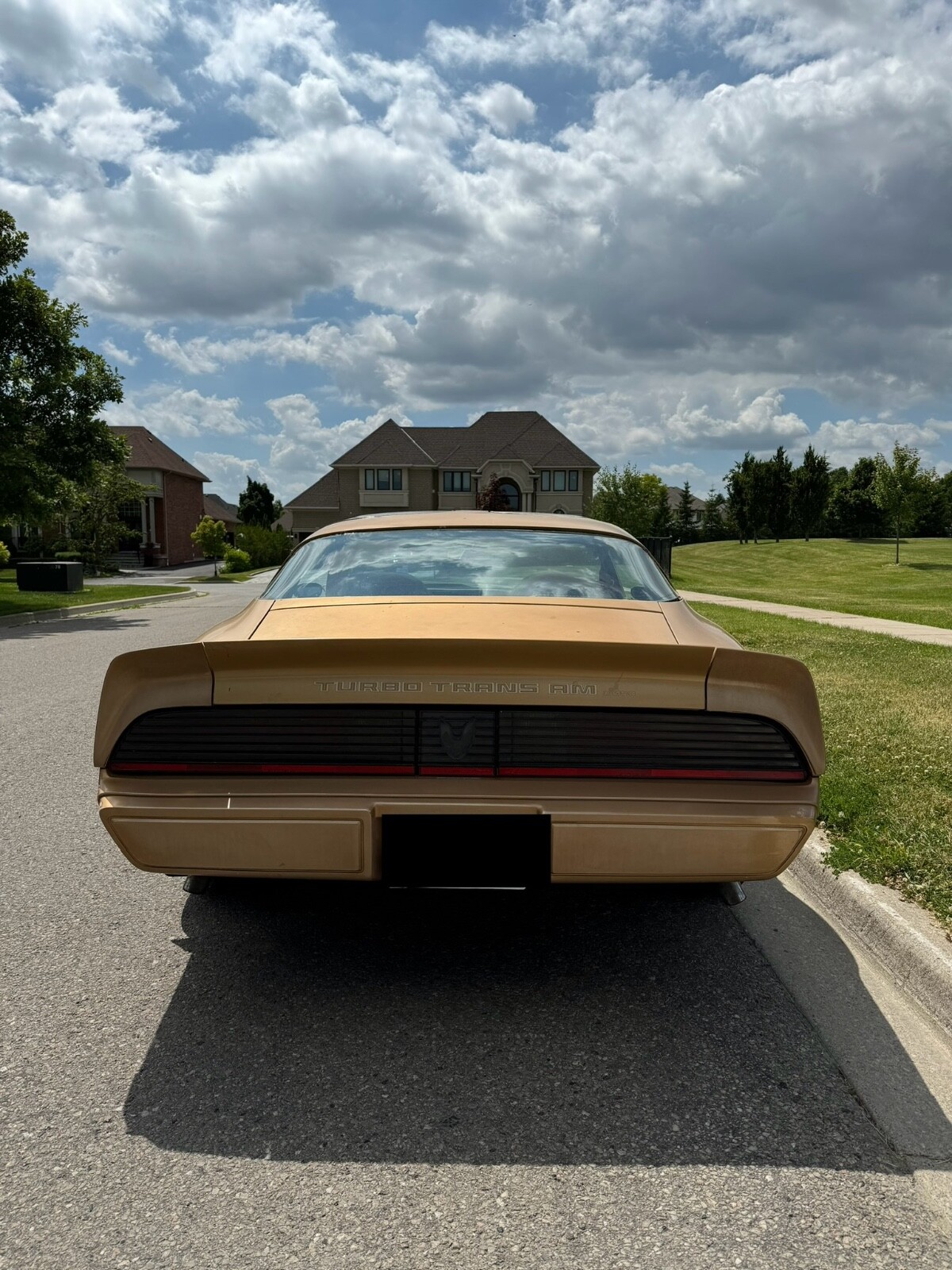 Pontiac-Trans-Am-1981-Coupe-2