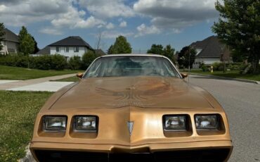 Pontiac-Trans-Am-1981-Coupe-3