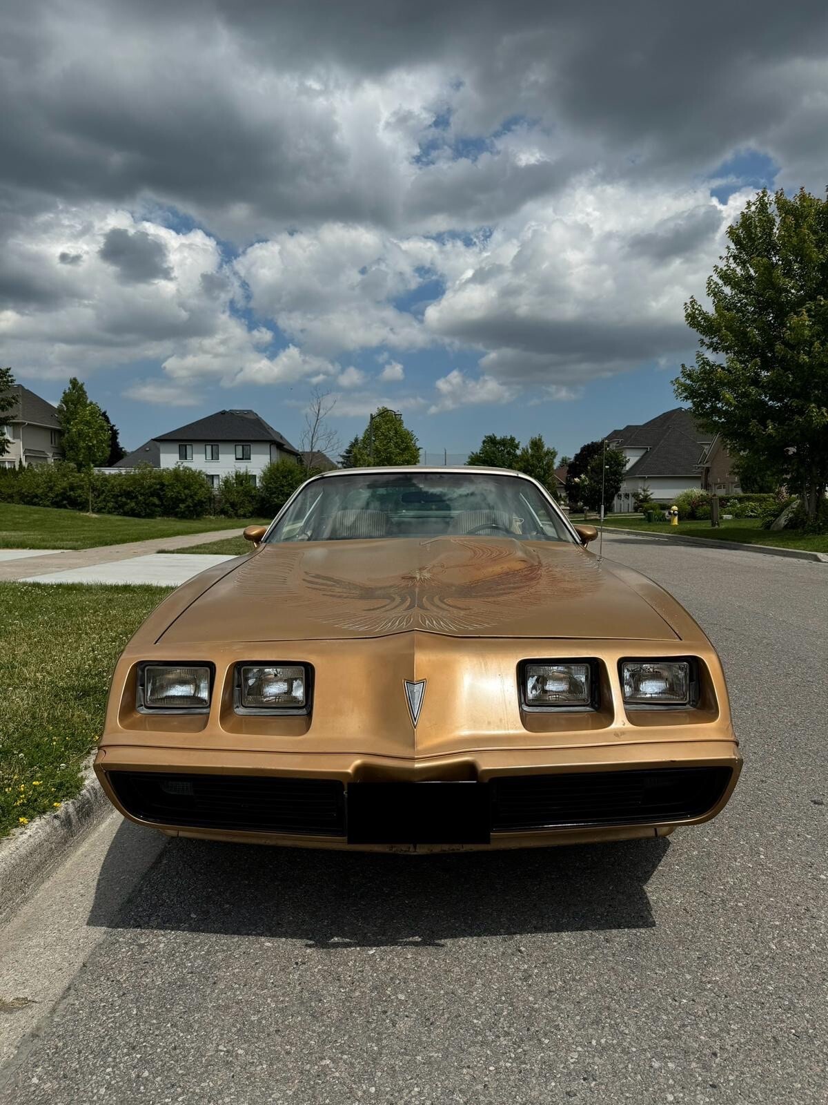 Pontiac-Trans-Am-1981-Coupe-3