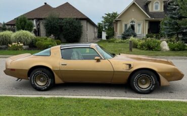 Pontiac-Trans-Am-1981-Coupe-4