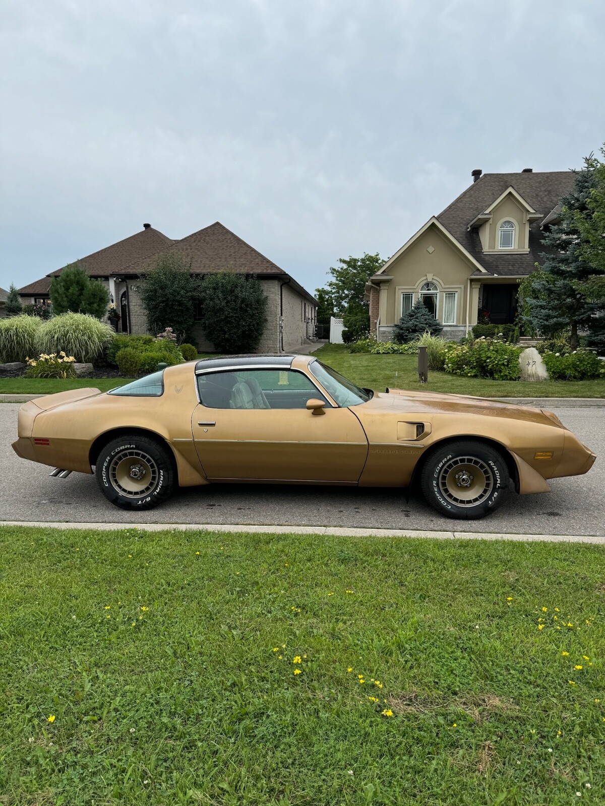 Pontiac-Trans-Am-1981-Coupe-4