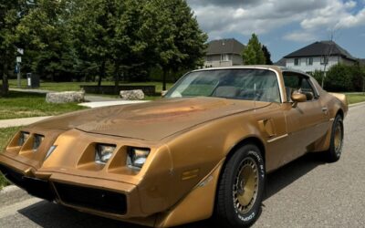 Pontiac Trans Am 1981 Coupe