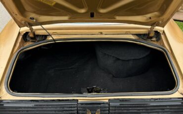 Pontiac-Trans-Am-1981-Coupe-5