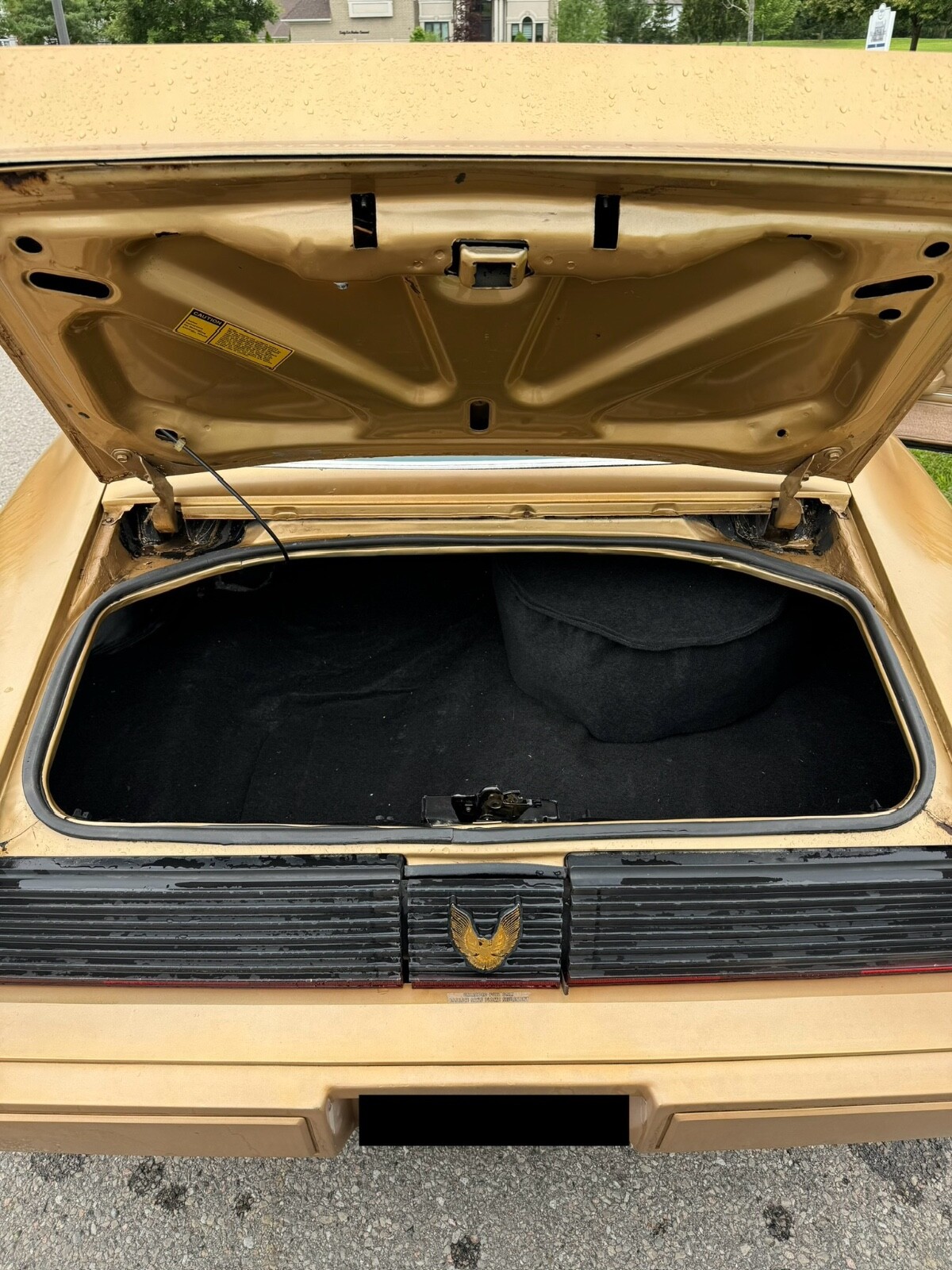 Pontiac-Trans-Am-1981-Coupe-5