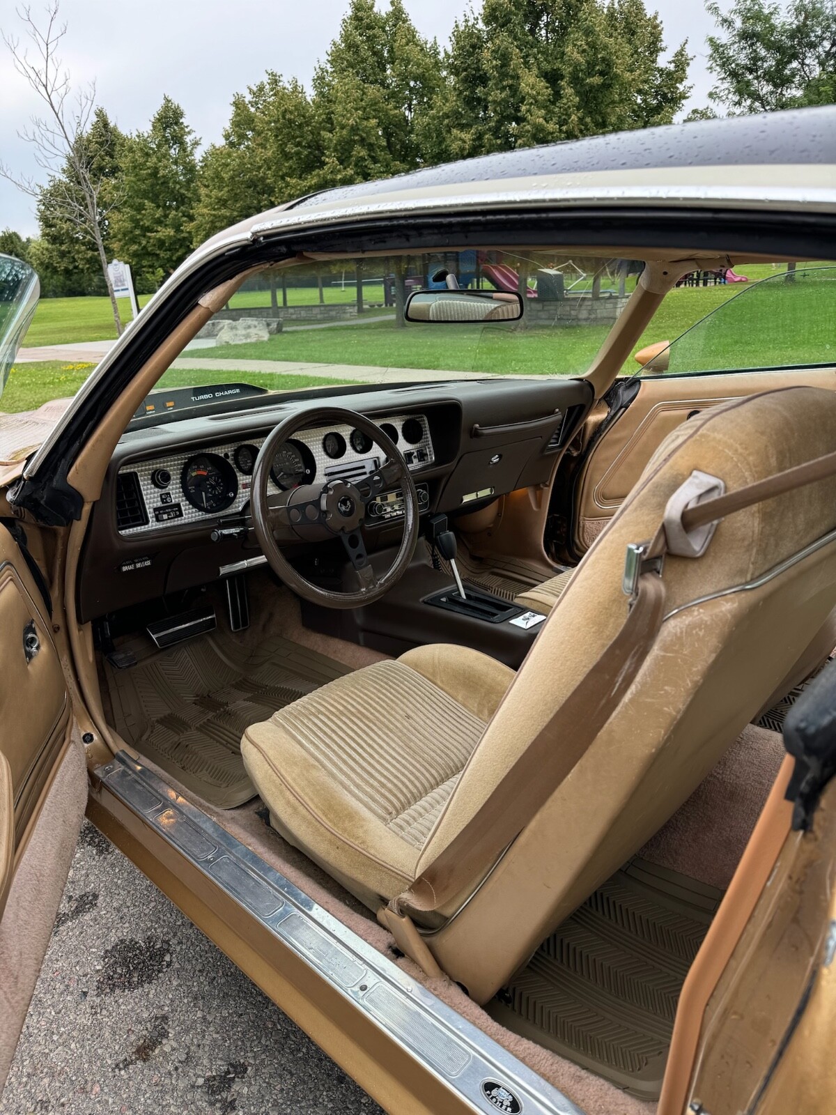 Pontiac-Trans-Am-1981-Coupe-6
