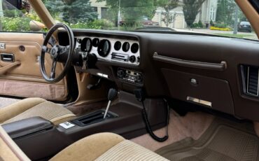 Pontiac-Trans-Am-1981-Coupe-7