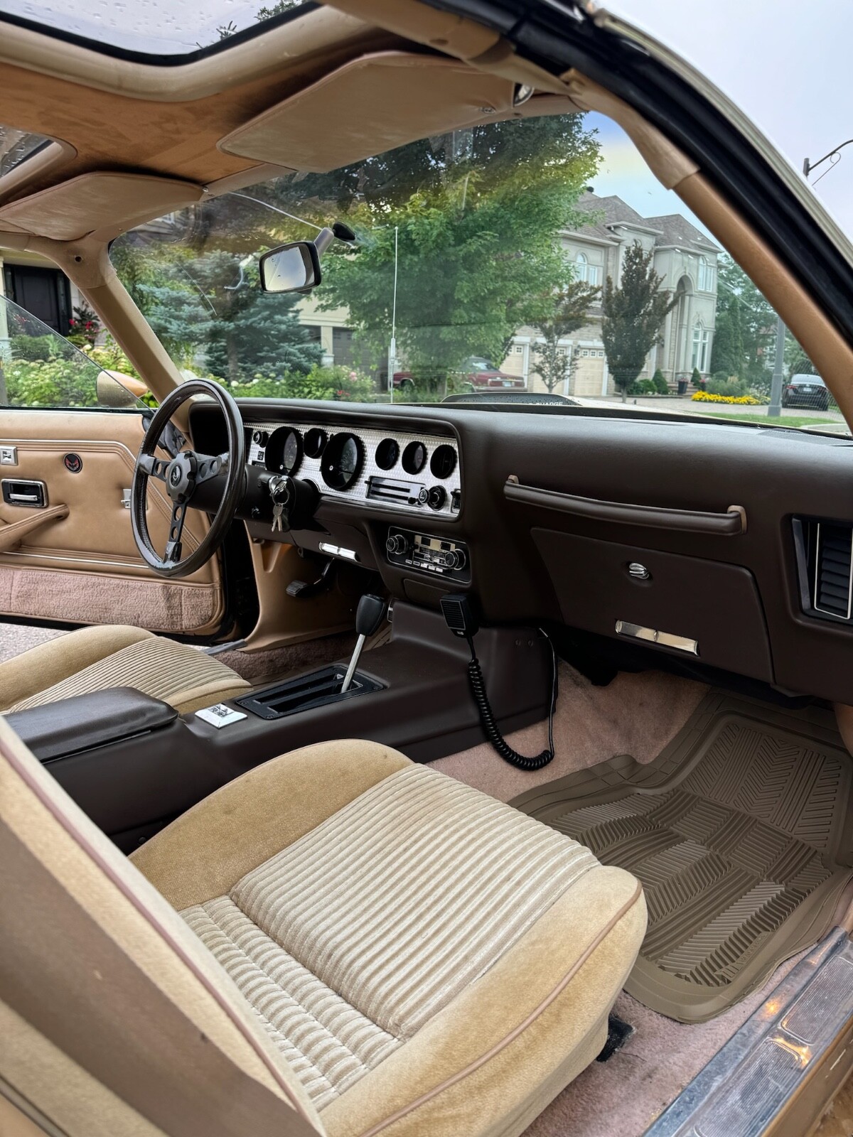 Pontiac-Trans-Am-1981-Coupe-7