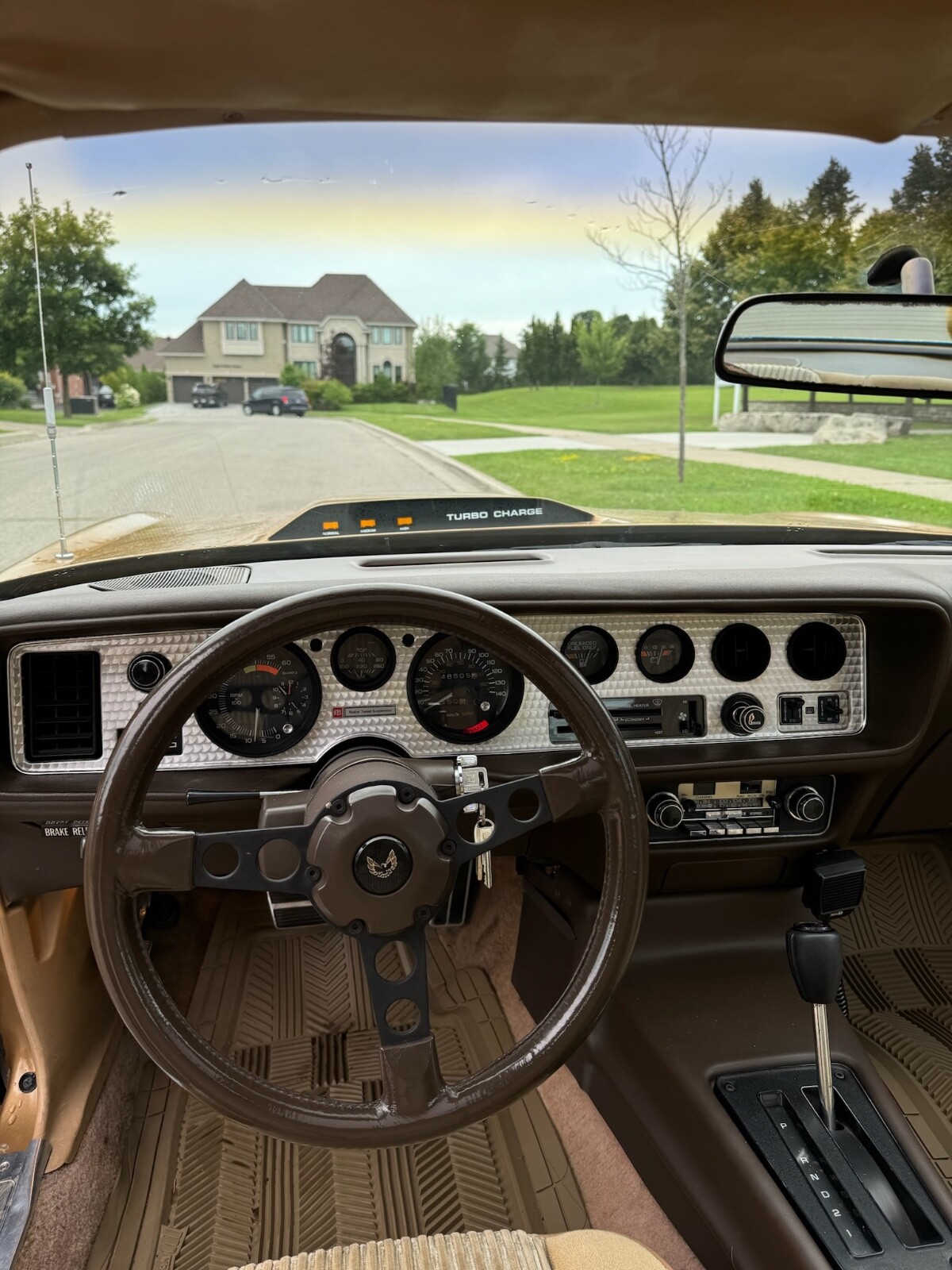 Pontiac-Trans-Am-1981-Coupe-8