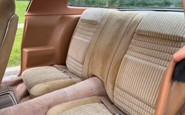 Pontiac-Trans-Am-1981-Coupe-9