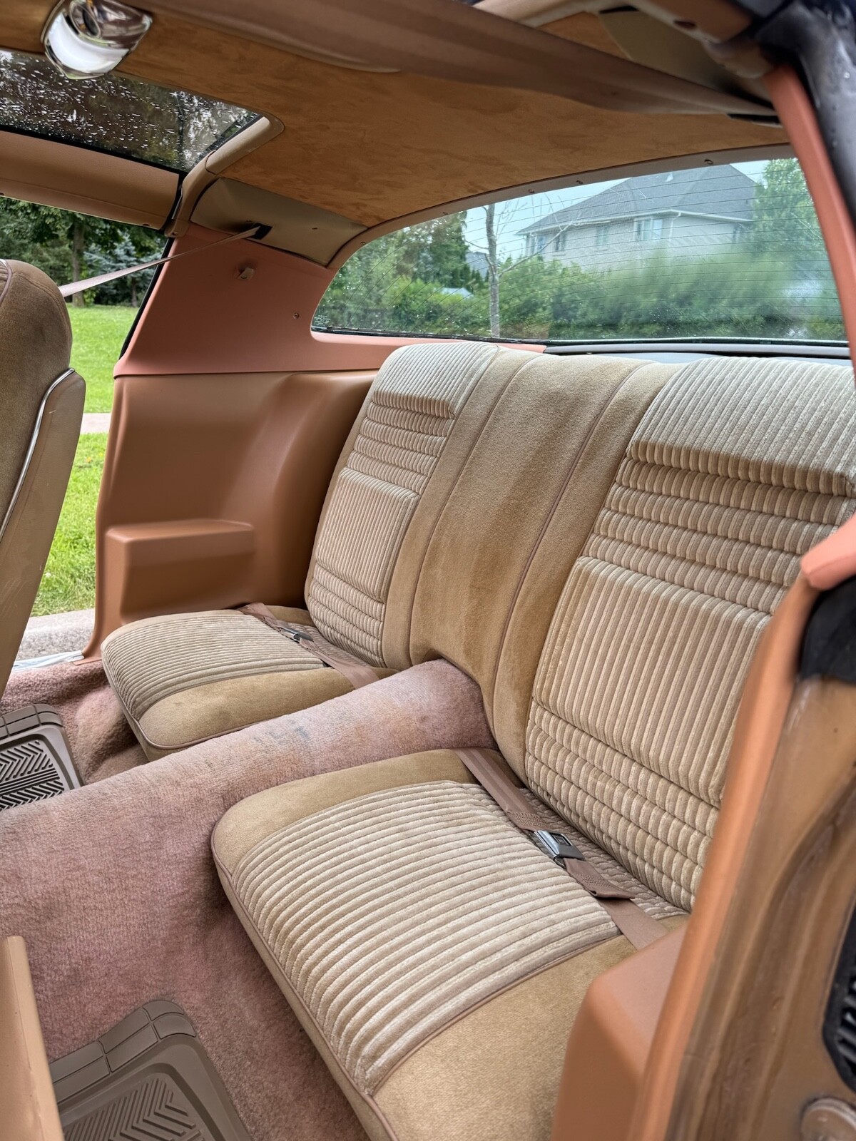 Pontiac-Trans-Am-1981-Coupe-9