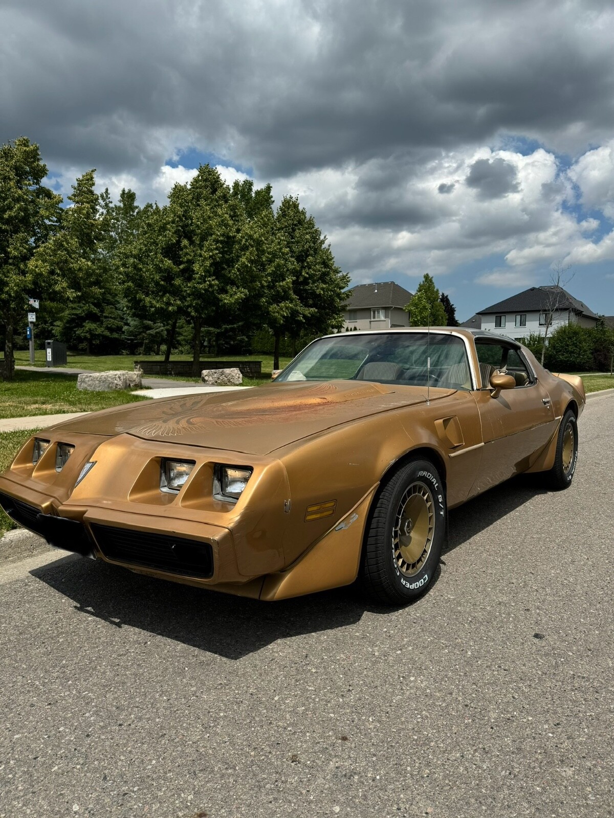 Pontiac-Trans-Am-1981-Coupe