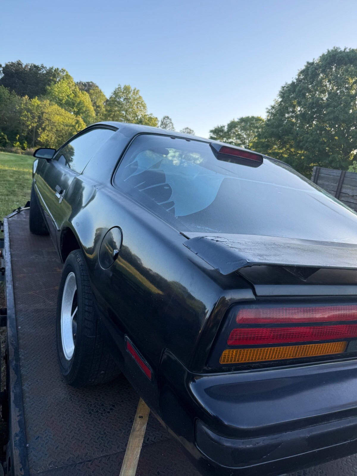 Pontiac-Trans-Am-1982-3