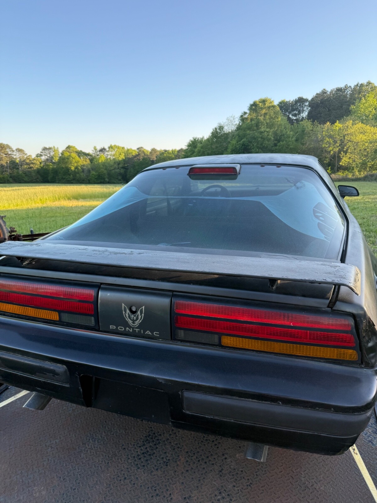 Pontiac-Trans-Am-1982-4