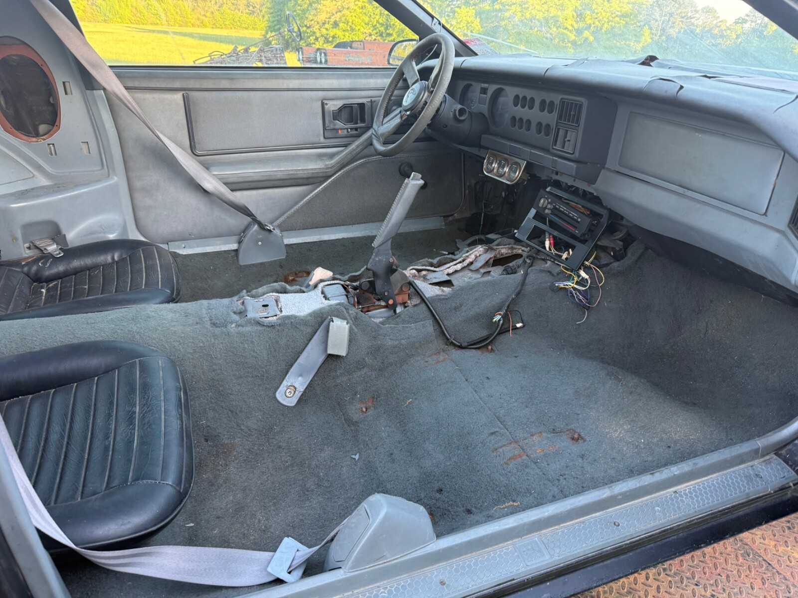 Pontiac-Trans-Am-1982-6